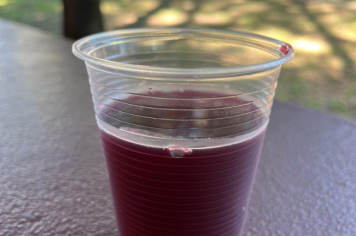 Foto - 73ª Festa da Uva e do Trigo de Pejuçara