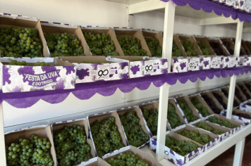 Foto - 73ª Festa da Uva e do Trigo de Pejuçara