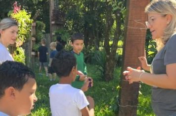 Foto - Cepib 10 anos