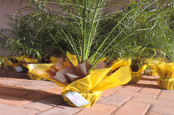 Foto - Ato marca entrega de 34 casas aos beneficiários do loteamento Caminho das Palmeiras