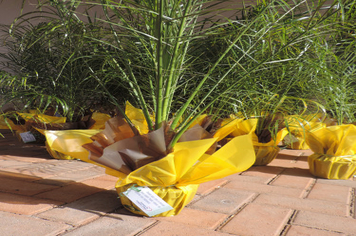 Foto - Ato marca entrega de 34 casas aos beneficiários do loteamento Caminho das Palmeiras