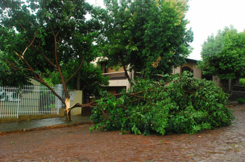 Foto - chuva e vento estragos