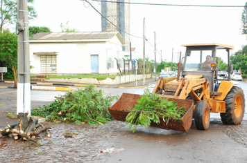 Foto - chuva e vento estragos