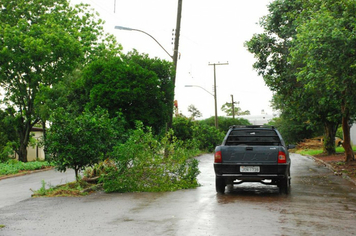 Foto - chuva e vento estragos