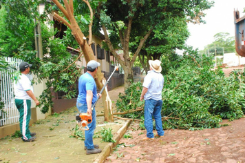 Foto - chuva e vento estragos
