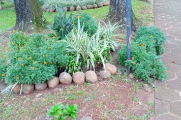 Foto - Projeto de embelezamento de Pejuçara