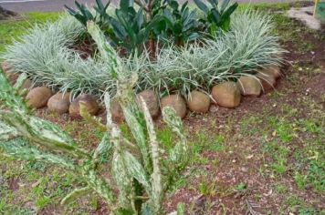 Foto - Projeto de embelezamento de Pejuçara