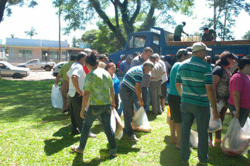 Foto - Feira do Peixe