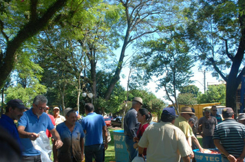 Foto - Feira do Peixe