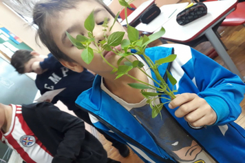 Foto - OFICINA PDE ANOS INICIAIS