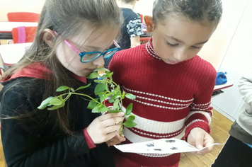 Foto - OFICINA PDE ANOS INICIAIS