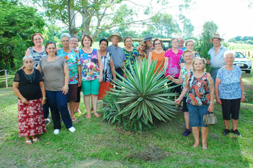 Foto - PASSEIO CULTURAL em Linha Pedreira