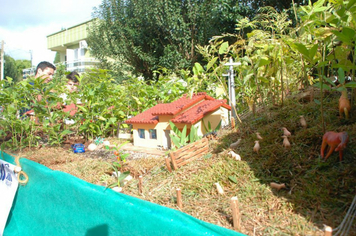 Foto - Passeio Sobre Rodas