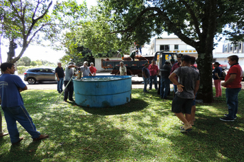 Foto - Pejuçara realiza Feira do Peixe vivo na praça