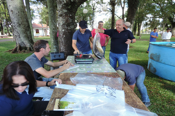 Foto - Pejuçara realiza Feira do Peixe vivo na praça