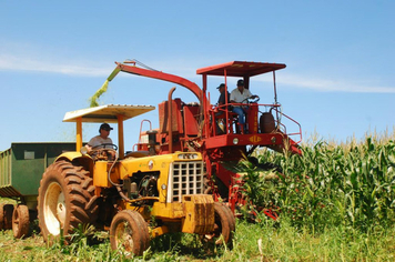 Foto - PRODUÇÃO DE SILAGEM