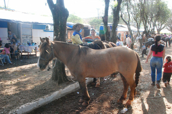 Foto - Rodeio 2018