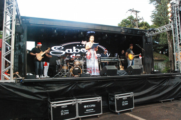 Foto - Show e fogos de artificio para marcar a chegada do Papai Noel