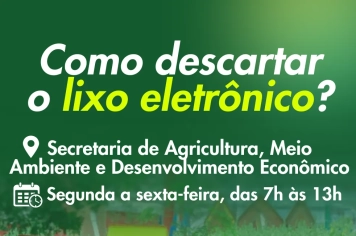 Confira como fazer o descarte correto do lixo eletrônico