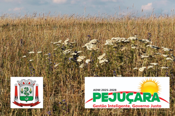 Governo Federal reconhece situação de emergência em Pejuçara devido à estiagem