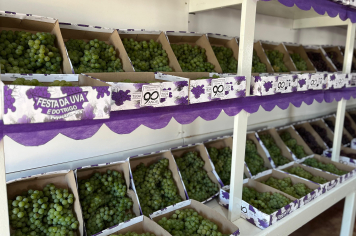 Inicia a 73ª Festa da Uva e do Trigo de Pejuçara