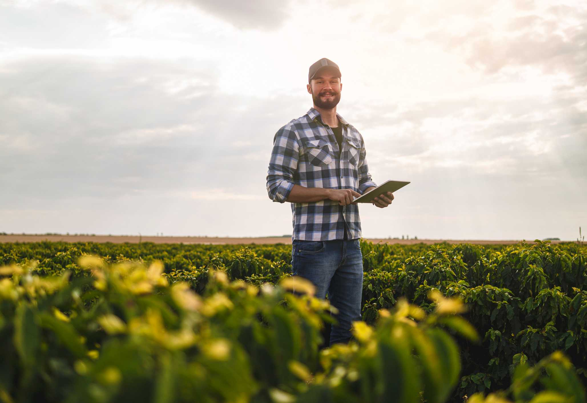 Produtores rurais: Nota Fiscal Eletrônica será obrigatória a partir de 1º de julho