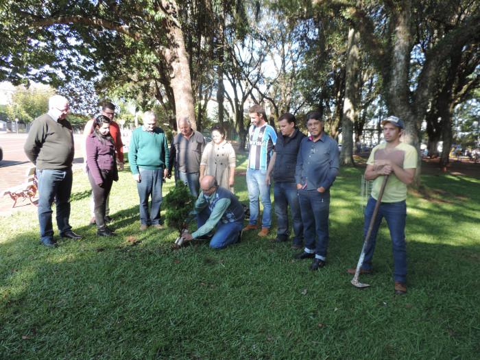 Projeto visa proteção de mudas de árvores no perímetro urbano de Pejuçara