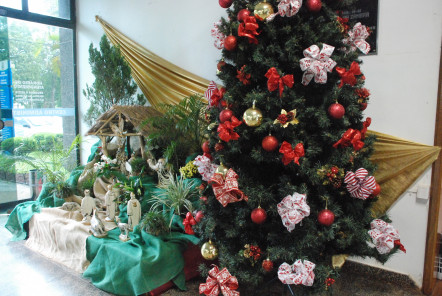 Seguem preparativos para as comemorações de Natal.