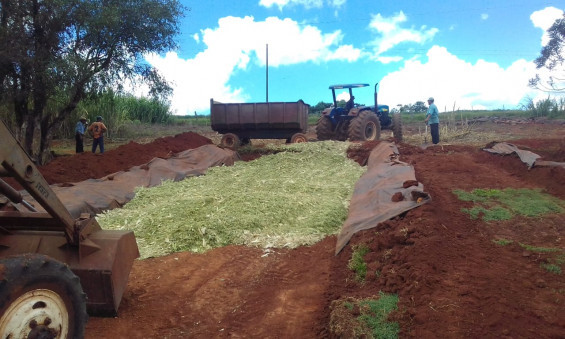 Parceria entre município e pequenos produtores de leite gera mais de mil toneladas de silagem