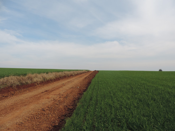 Fazenda alerta para prazos de declaração do ITR