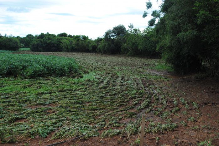 RELATÓRIO DE AVALIAÇÃO DOS DANOS E PREJUÍZOS NA ÁREA RURAL DO MUNICÍPIO DE PEJUÇARA