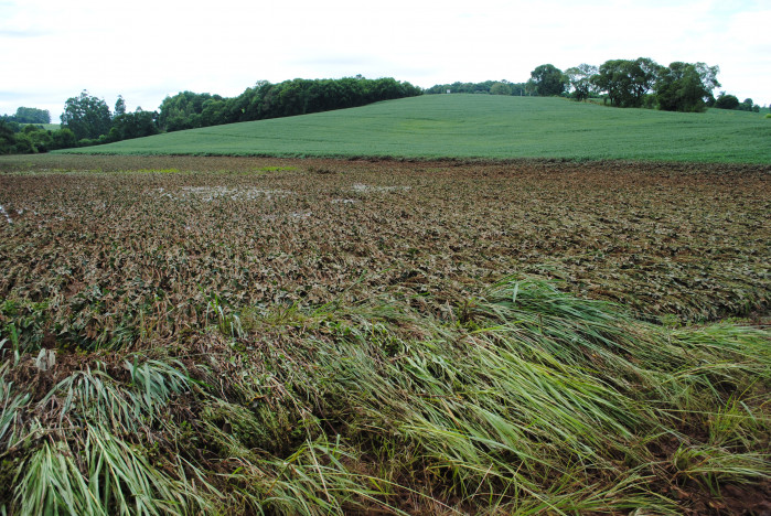 RELATÓRIO DE AVALIAÇÃO DOS DANOS E PREJUÍZOS NA ÁREA RURAL DO MUNICÍPIO DE PEJUÇARA