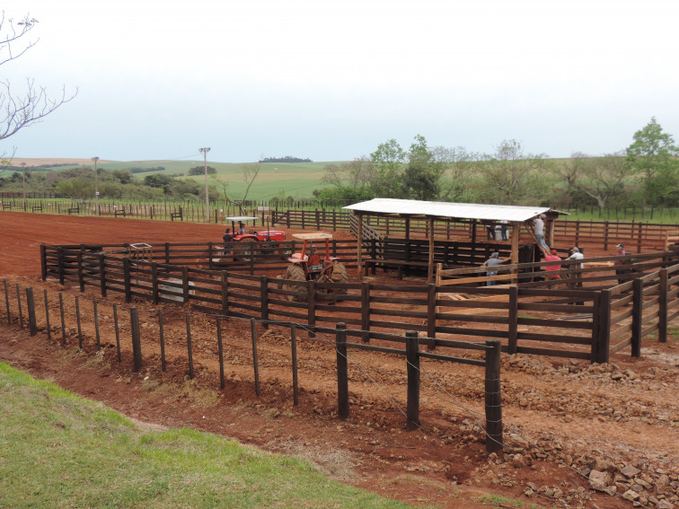 Inauguração da nova pista de rodeio e show devem atrair público regional neste final de semana