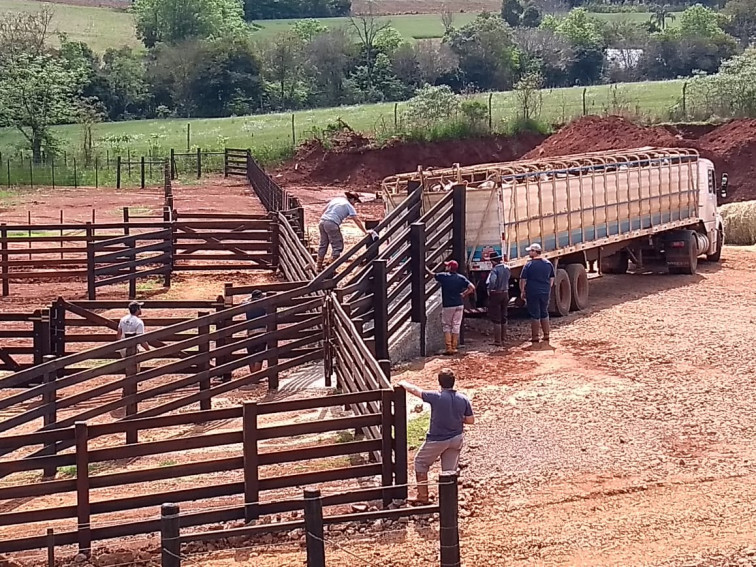 Pista de rodeios revitalizada do Parque de Exposições recebe primeiros animais
