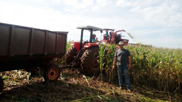 Parceria entre município e pequenos produtores de leite gera mais de mil toneladas de silagem