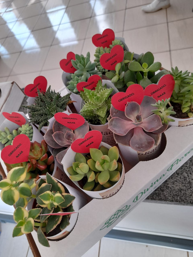 Profissionais da saúde são homenageados 