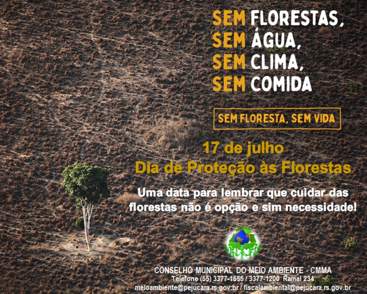 Conselho Municipal do Meio Ambiente lembra em nota, necessidade de proteção às florestas